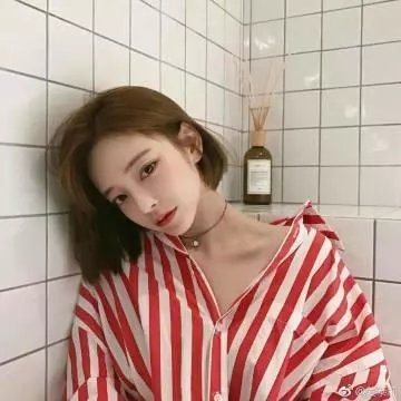 秘密使节